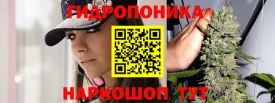прущая мука Моздок