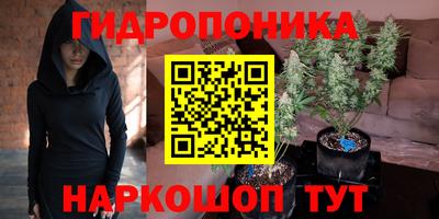 дмт Можайск