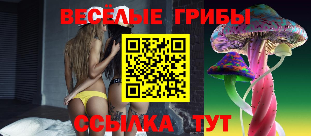 Псилоцибиновые грибы Psilocybe Тамбов